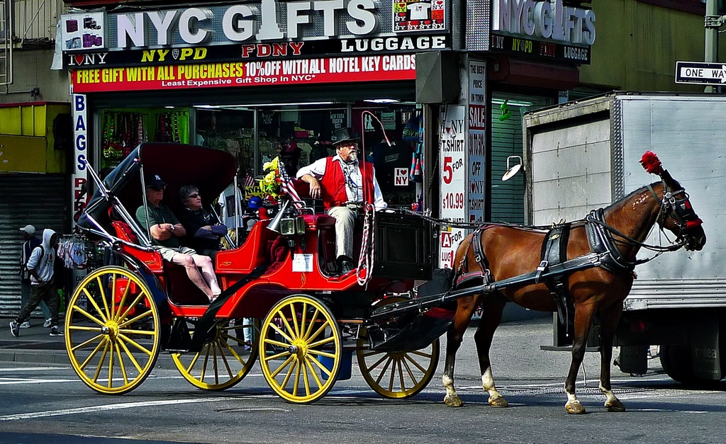 Horse drawn carriage on Broadway by soboy5