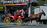 22nd Nov 2013 - Horse drawn carriage on Broadway