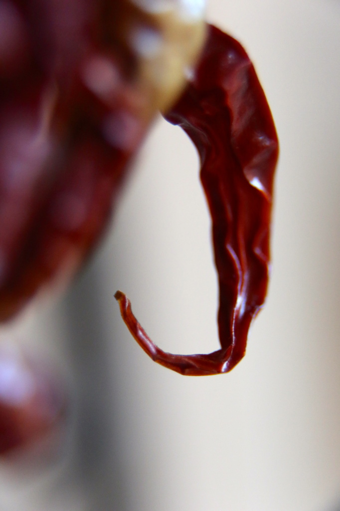 Chilli up close as it was today!!! by padlock