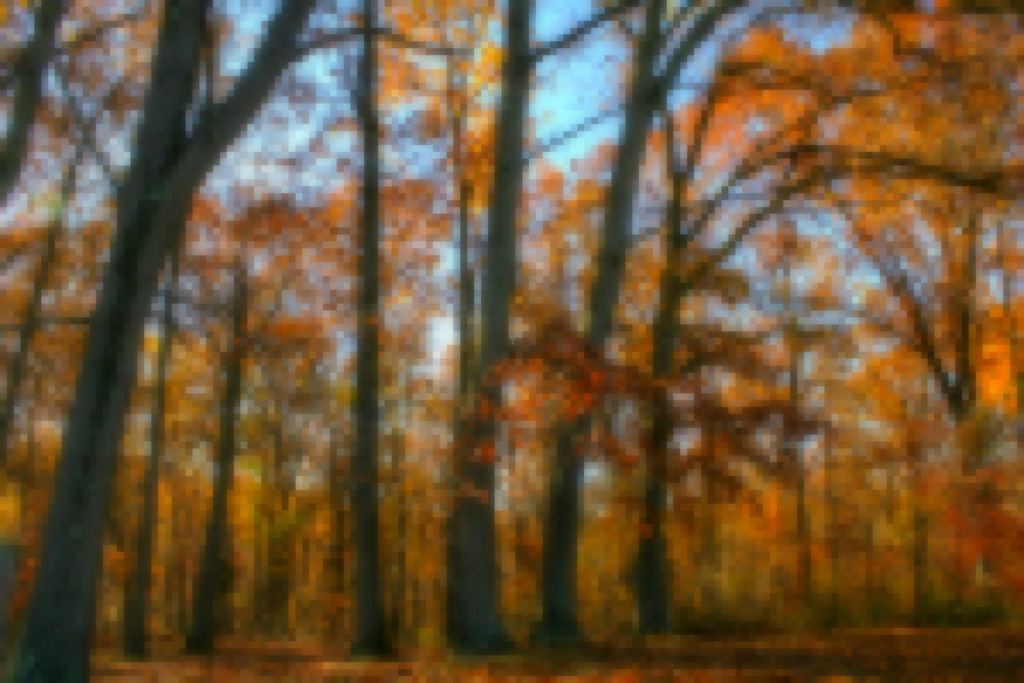 Autumn abstract by mittens