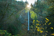 21st Nov 2013 - Latourell Falls, Columbia River Gorge, Oregon