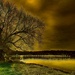 The Tree on the Lake by taffy