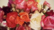 23rd Nov 2013 - I've got a lovely bunch of roses!