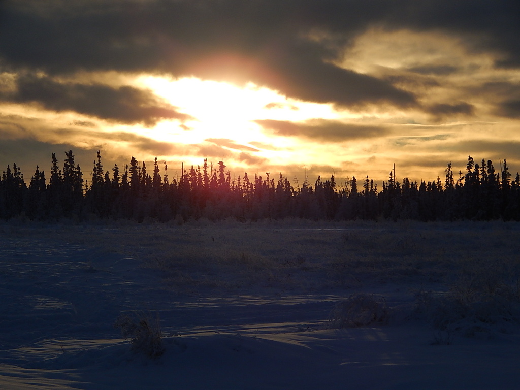 Fairbanks Winter Afternoon by bjywamer