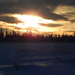 Fairbanks Winter Afternoon by bjywamer
