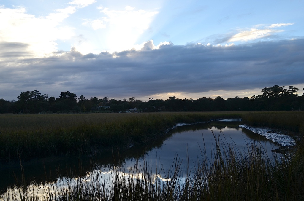 Charles Towne Landing State Historic Site, Charleston, SC by congaree