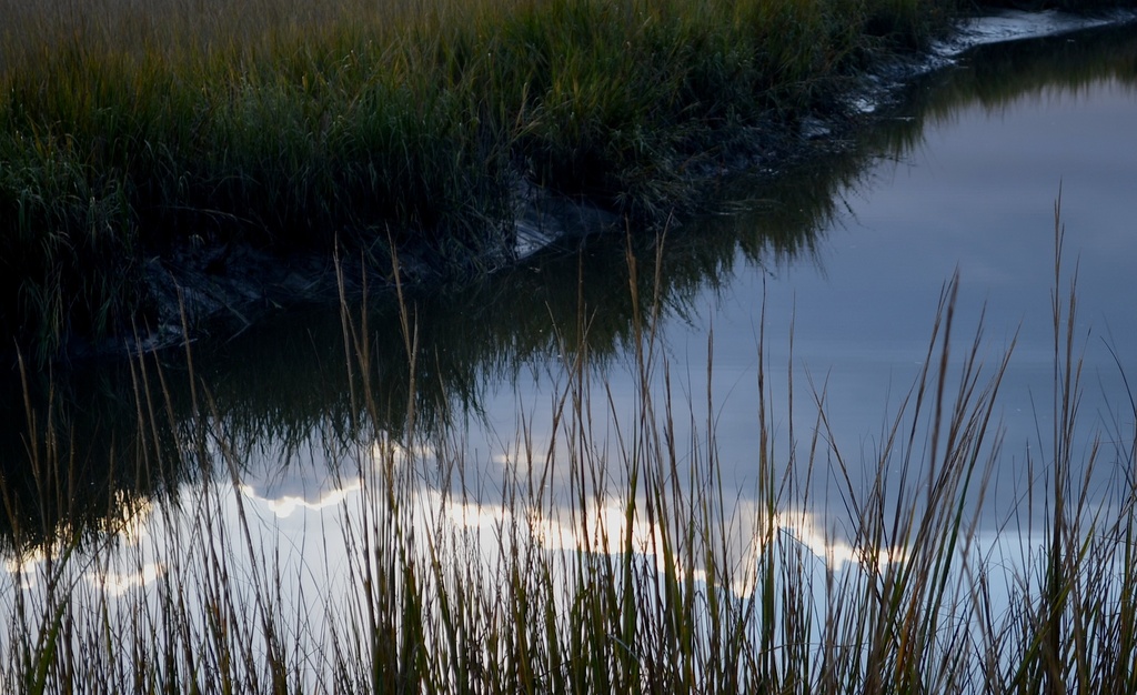 Cloud reflections in the marsh by congaree