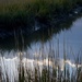 Cloud reflections in the marsh by congaree