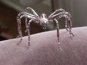 23rd Nov 2013 - Shiny Spider