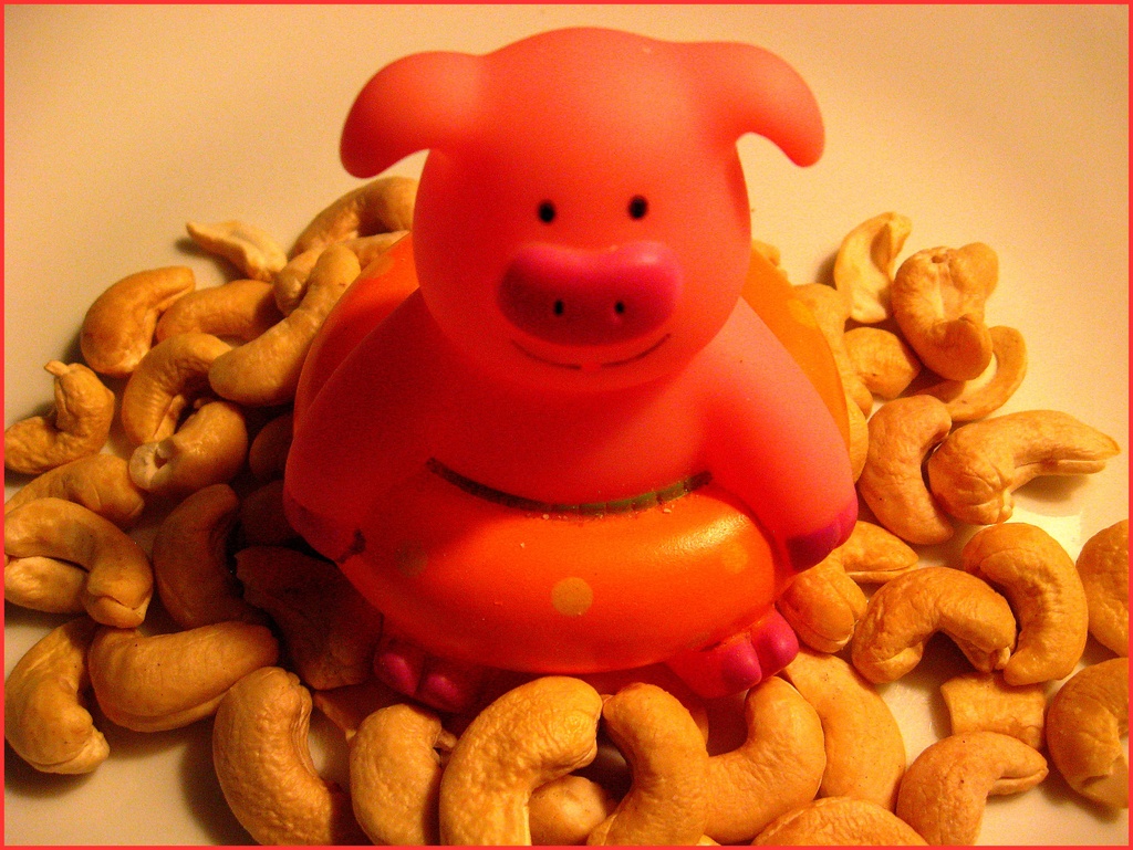 Piggy Celebrates National Cashew Day by olivetreeann