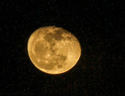 20th Nov 2013 - Waning moon