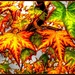Flaming Leaves by joysfocus