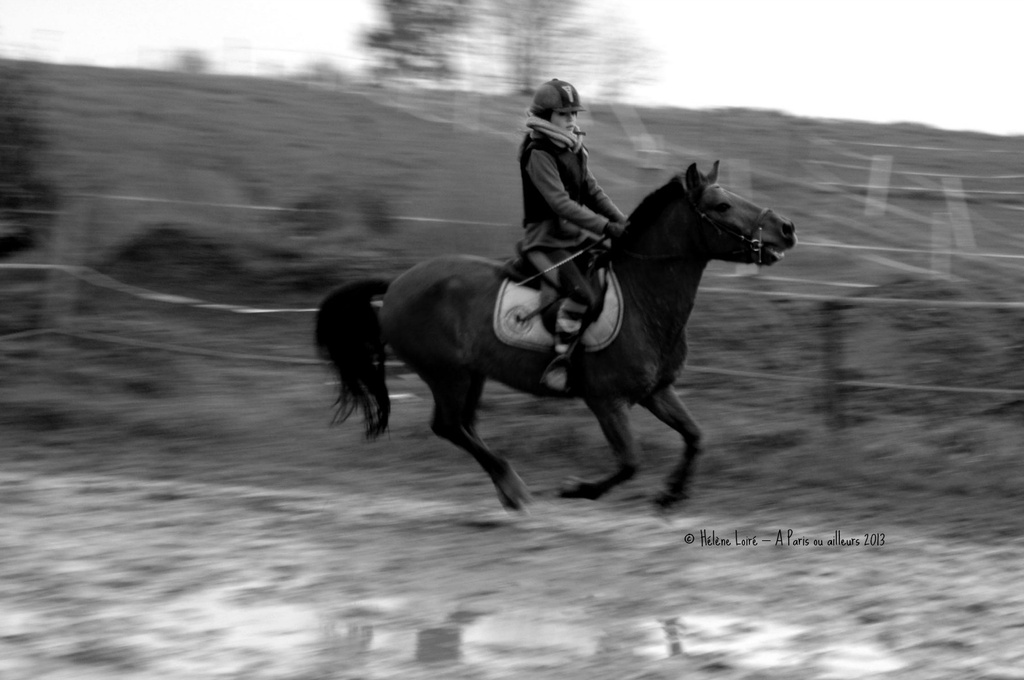 Speed Horse #1 by parisouailleurs