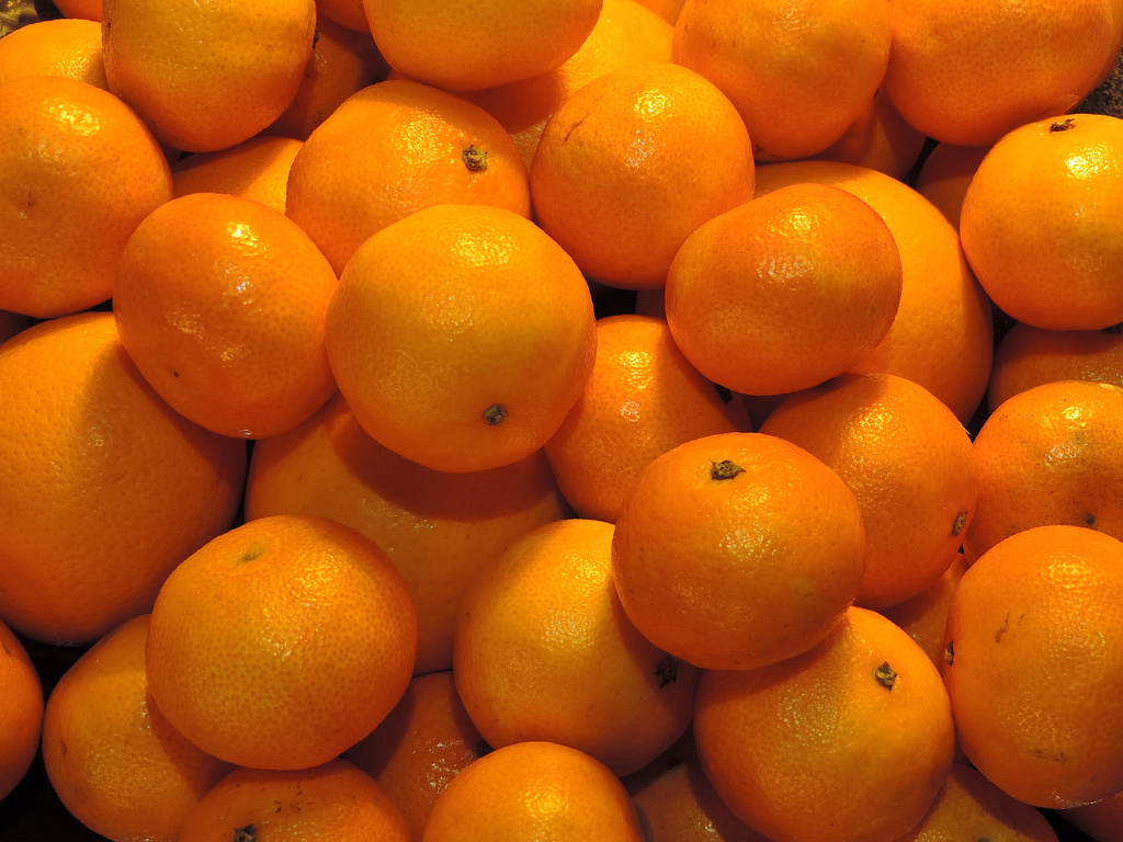 Orange by gladogfrisk