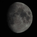 Moon by gladogfrisk