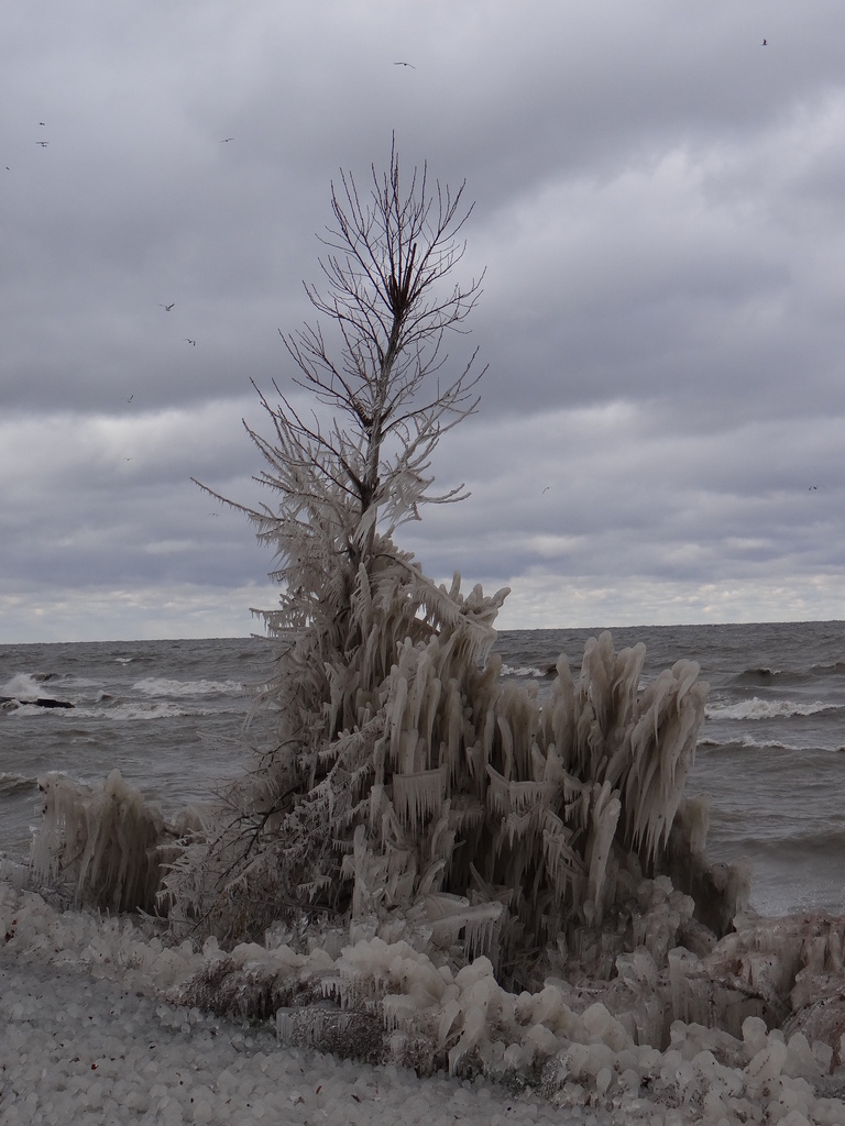 Crazy Lake Erie by brillomick