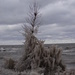 Crazy Lake Erie by brillomick