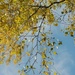 Sunny autumn day by parisouailleurs