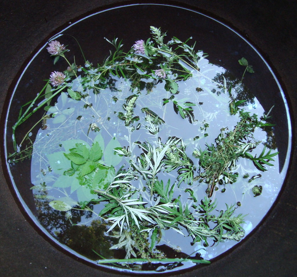 Composition with cauldron and herbs by mcsiegle