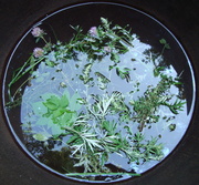 9th Nov 2013 - Composition with cauldron and herbs