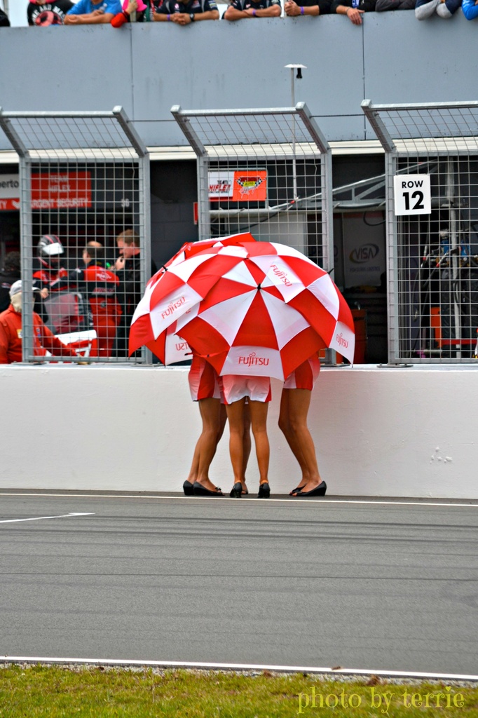 Pit Girls at Phillip Island V8's by teodw