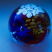 Glass globe by elisasaeter