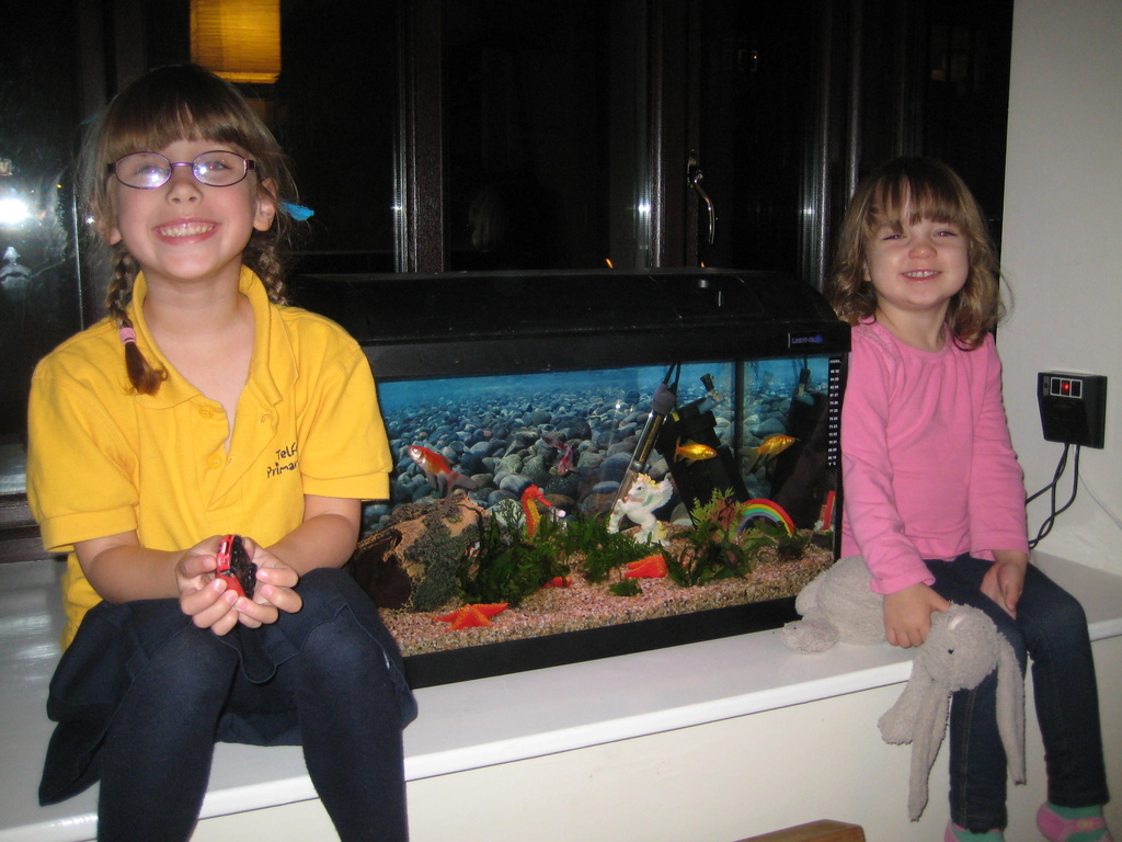  Charlotte and Freya with their new fish tank. by susiemc