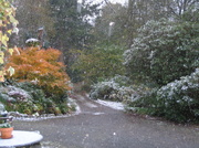 19th Nov 2013 - The First Snow of the Winter
