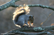 25th Nov 2013 - Afternoon Snack