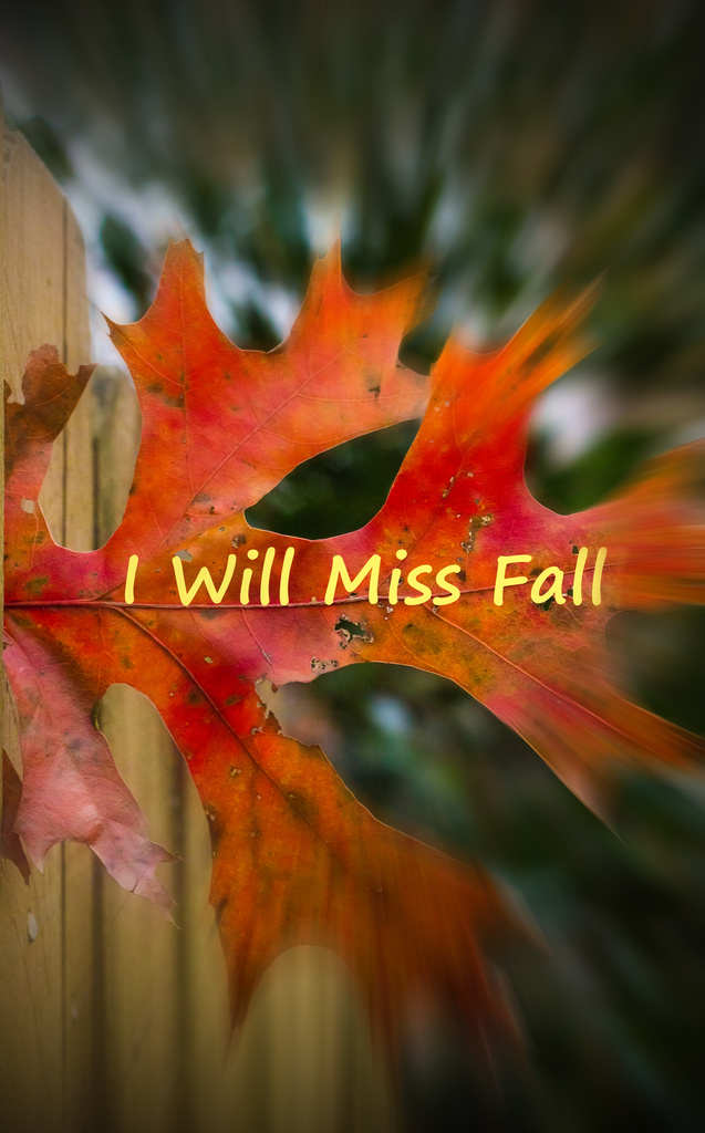 I Will Miss Fall by rayas