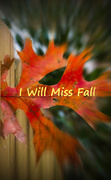 25th Nov 2013 - I Will Miss Fall