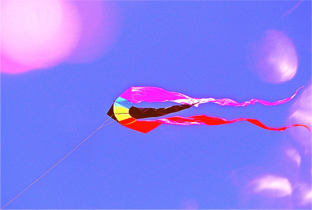 Kite Flying by joysfocus