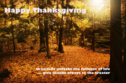 25th Nov 2013 - Happy Thanksgiving ...