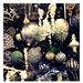 Ornaments  by lisaconrad