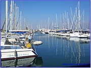 26th Nov 2013 - The Marina,Larnaca,Cyprus