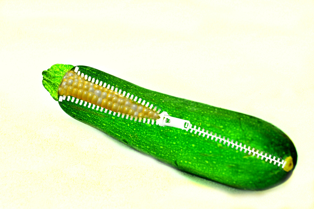 zippered zucchini by summerfield