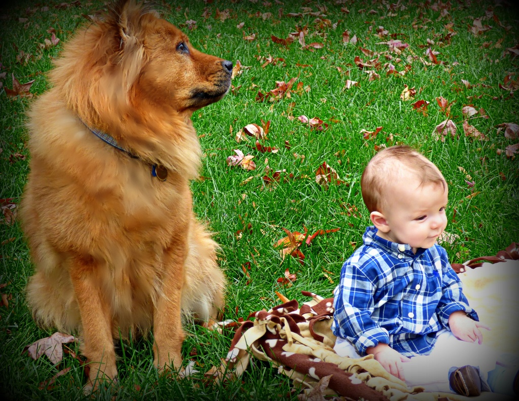 A Boy and His Dog by peggysirk