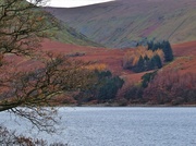 26th Nov 2013 - Haweswater in the Lakes