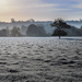 Day 330 - Frosty Field by snaggy