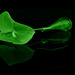 Lily in Green by rustymonkey