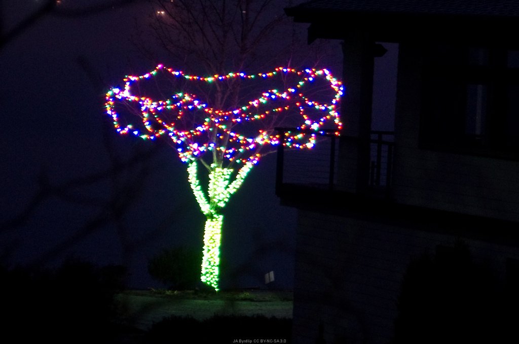 A Christmas Tree by byrdlip
