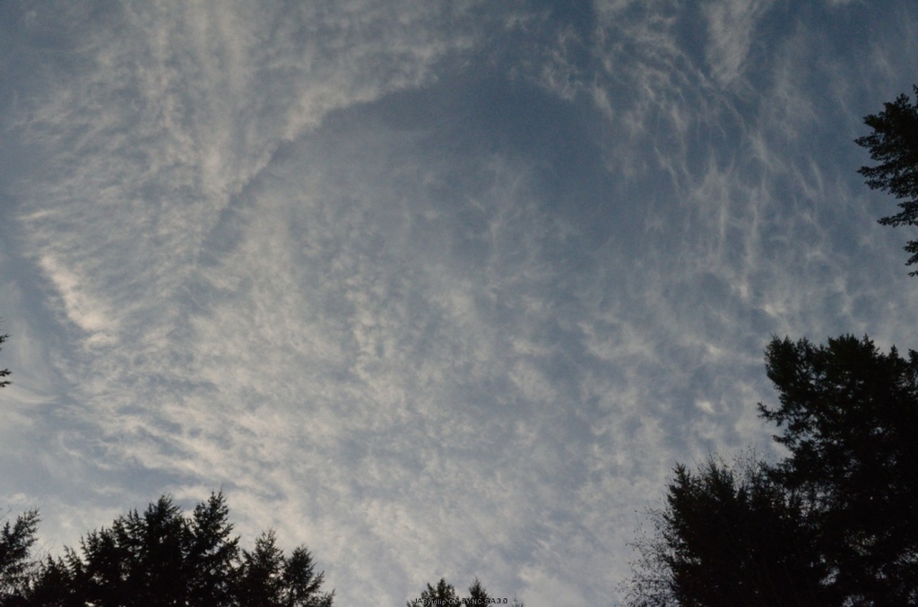 Circular Cloud by byrdlip