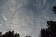 23rd Nov 2013 - Circular Cloud