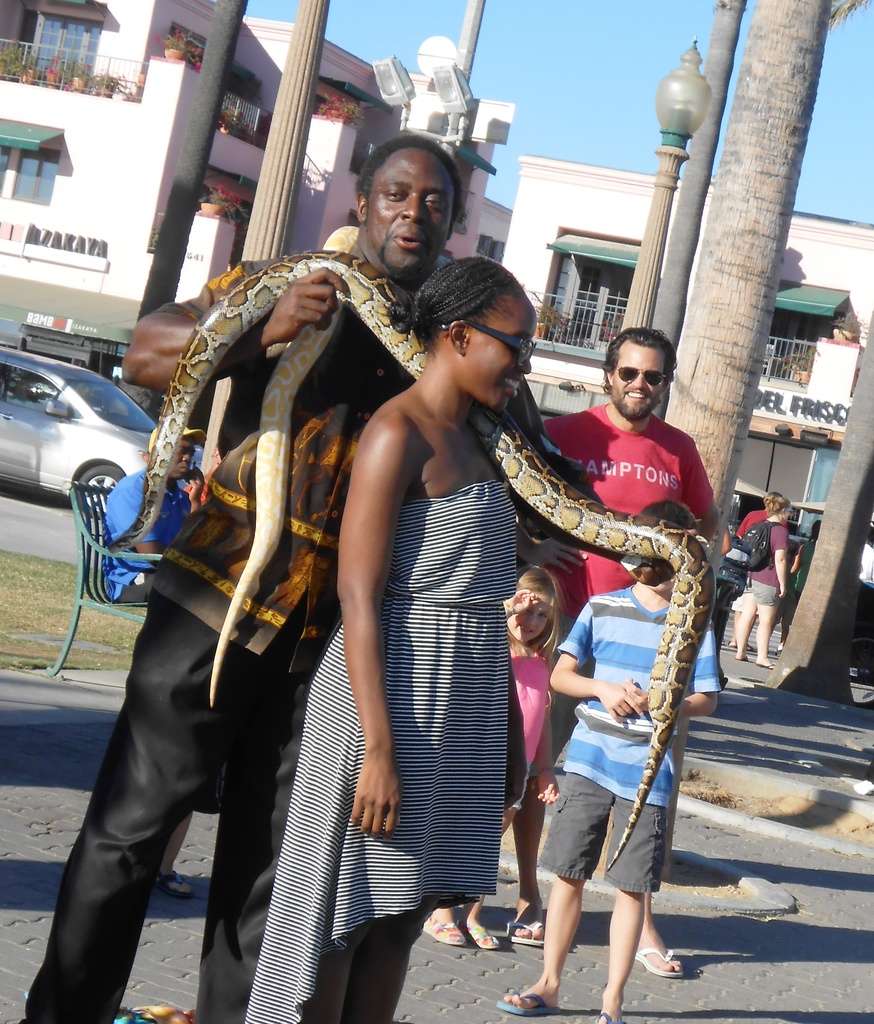 Why Does Guy Walk Around With Large Snakes? by jnadonza