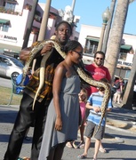 2nd Oct 2013 - Why Does Guy Walk Around With Large Snakes?