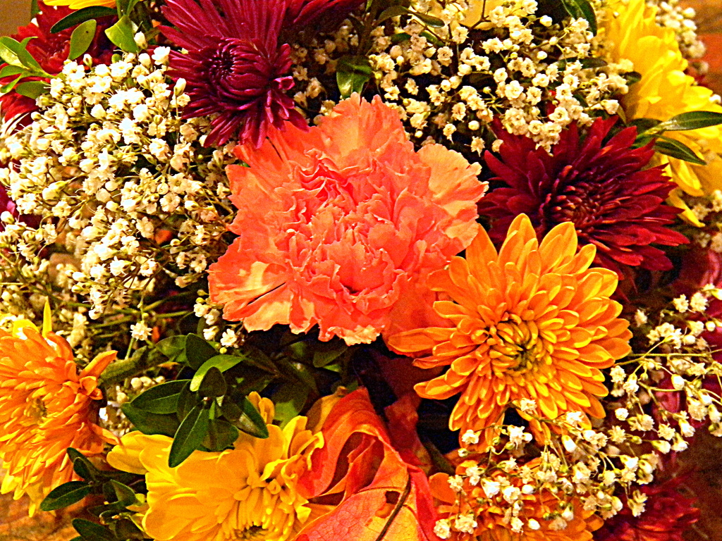 Thanksgiving Flowers! by homeschoolmom