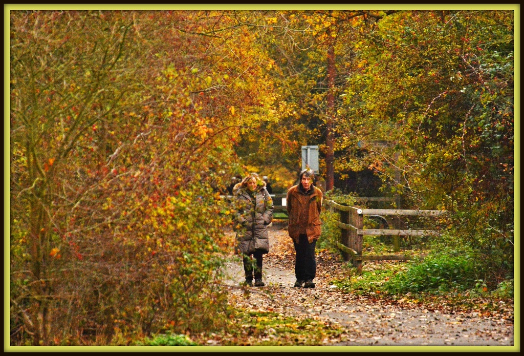 Autumn walk by rosiekind