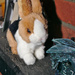 Mantlepiece bunny by darkhorse