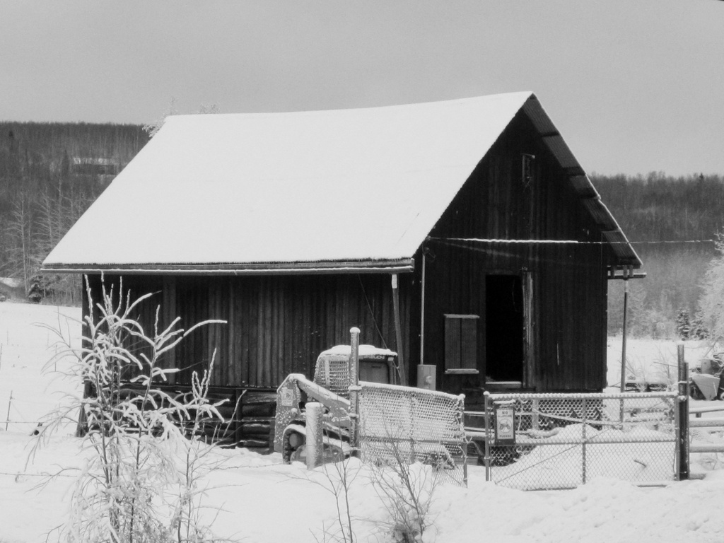 Barn in Black & White by bjywamer