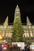 24th Nov 2013 - Christmas in Vienna